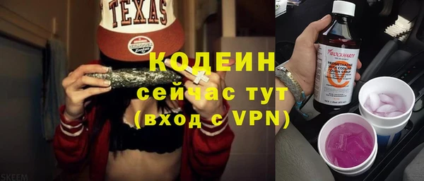индика Заволжск