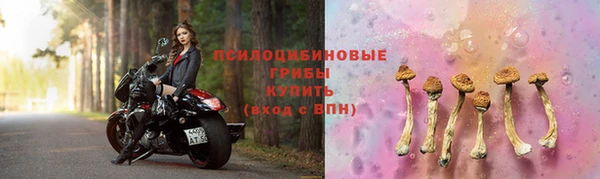 амф Заводоуковск