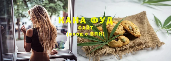 индика Заволжск