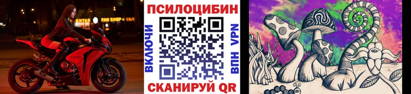 где купить наркотик  Топки  Галлюциногенные грибы прущие грибы 