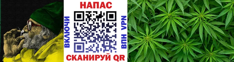 Каннабис ГИДРОПОН  купить   Топки 